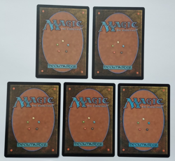 Snow-Covered Plains Playsets | Kaldheim | Basic Snow Land | NM | MTG - Image 2