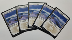 Snow-Covered Plains Playsets | Kaldheim | Basic Snow Land | NM | MTG - Image 4