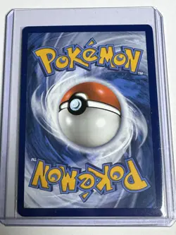 Pokemon TCG Stellar Crown Dachsbun ex Holofoil 067/142 NM Double Rare - Image 2