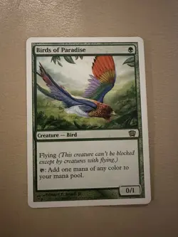 MTG - Birds of Paradise - 8th Edition - LP - Image 1