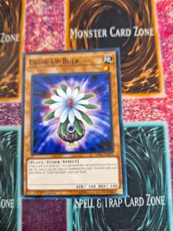 Yu-Gi-Oh! Glow-Up Bulb SDCL-EN021 Common 1st Edition Lightly Played - Image 1