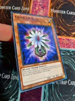 Yu-Gi-Oh! Glow-Up Bulb SDCL-EN021 Common 1st Edition Lightly Played - Image 2