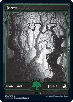Forest Basic Land 276/277 FOIL Innistrad: Midnight Hunt MID - Image 1