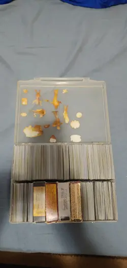 Magic The Gathering Multi Color Card Bundle. Green & White Cards. MTG. - Image 2