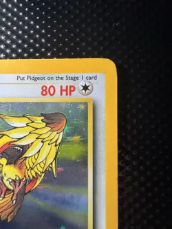 1999 Pokemon Pidgeot Jungle 8/64 Holo Rare No Set Symbol Error - Image 3