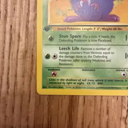 Pokemon - Venonat - Jungle 63/64 1st Edition - Common - LP - Image 5
