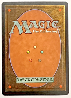 MTG Skred Coldsnap Foil - Image 2