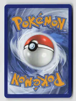 Pokemon - Raihan - TG27/TG30 SWSH12: Silver Tempest Trainer Gallery - NM - Image 2