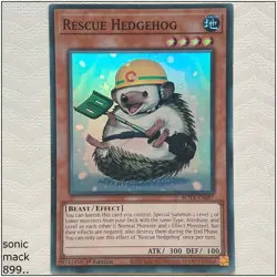 Rescue Hedgehog - ROTA-EN097 - Super Rare 1st Edition Yugioh - Image 1