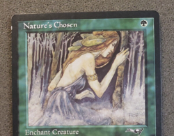 Magic: The Gathering MTG - 1x Rare Nature’s Chosen Card LP Alliances (DS3D1A1) - Image 3
