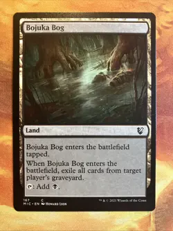 MTG 8 x Land (Bojuka Bog, etc..) Commander: Innistrad: Midnight Hunt NM! - Image 2