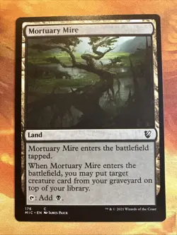 MTG 8 x Land (Bojuka Bog, etc..) Commander: Innistrad: Midnight Hunt NM! - Image 5