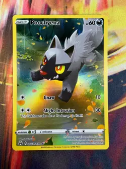 Poochyena GG33/GG70 NM Holo Crown Zenith Galarian Gallery Pokemon TCG - Image 1