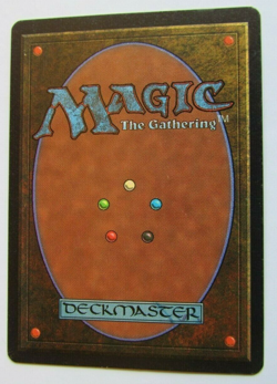Magic The Gathering - Swamp B Card - Beta - Image 2