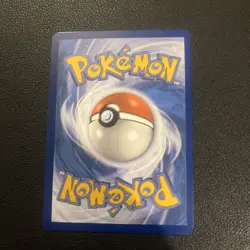 Pokemon - Pelipper - 204/091 - SV: Paldean Fates - Holo - Shiny Rare NM - Image 3
