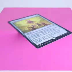 MTG Banner of Kinship Foundations Regular LP - Image 3