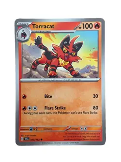 New: 2024 Pokemon TCG Torracat 033 Sv05: Temporal Forces Regular Common - Image 1