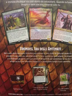 Magic The Gathering MTG Commander Deck D&D Ira Draconica Forgotten Realms ITA - Image 4