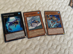Yu-Gi-Oh! 26 cards Fish Atribute Mix Rarities 1st Edition NM Spanish - Image 3