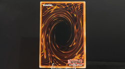Thunder King Rai-Oh LCGX-EN203 C - YuGiOh - Legendary Collection 2 (NM) - Image 2