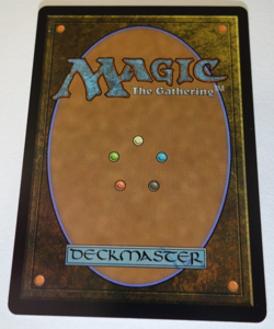 Winnowing (Showcase) Lorwyn Eclipsed Foil - Image 2