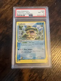 2004 PSA 8 Ludicolo #020 Holo Black Star Promo Pokemon TCG - Image 1