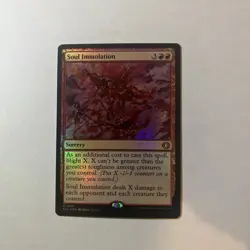 MTG / Soul Immolation - Foil / Nm & Never Played - Image 1