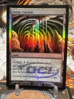 MTG | Zoetic Cavern [Gateway 2007] ✨FOIL✨ - Image 1