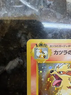 Katsura's Arcanine Holo Gym Set Japanese No.059 Pokemon Card 1996 - Image 3