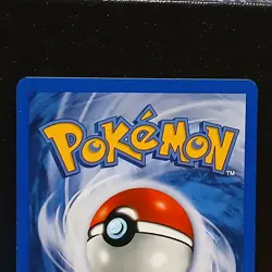 Pokemon TCG Wartortle Southern Islands 15/18 NM - Image 5
