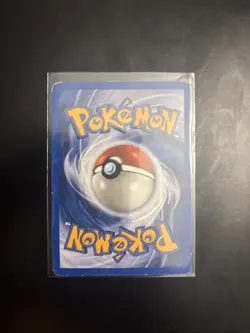 Ursaring 110/144 Skyridge Common WOTC Vintage Pokemon 2003 - Image 2