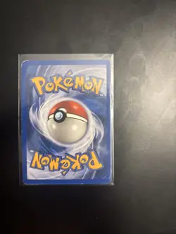 Ursaring 110/144 Skyridge Common WOTC Vintage Pokemon 2003 - Image 3