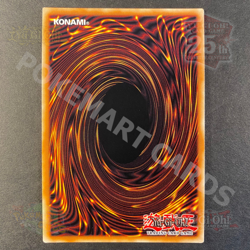 Yugioh Red-Eyes Alternative Black Dragon Prismatic Secret Rare TN19-EN005 NM - Image 4