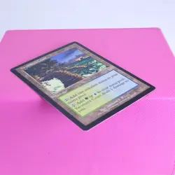 MTG Magic the Gathering Yavimaya Coast Apocalypse 143 Regular LP - Image 3