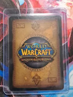 World of Warcraft TCG Nightsaber Cub Unused Loot Card (Pet) - Image 2