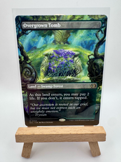 Overgrown Tomb (Borderless) Lorwyn Eclipsed Regular - Image 1