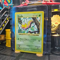 Weedle Shadowless Base Set Pokemon TCG 69/102 Unlimited Common - Image 2
