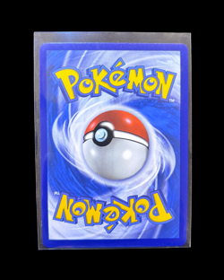 Lance's Charizard V SWSH133 SWSH: Sword & Shield Promo Cards Holo - Image 2