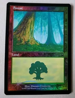 Forest (347) Mercadian Masques Regular NM Near Mint MTG - Image 1