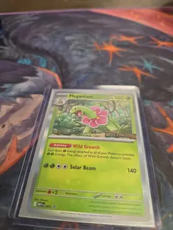 Meganium Mega Evolutions Staff Promo Card 001 Holofoil NM / MT - Image 1