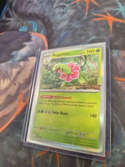 Meganium Mega Evolutions Staff Promo Card 001 Holofoil NM / MT - Image 2