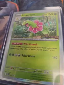 Meganium Mega Evolutions Staff Promo Card 001 Holofoil NM / MT - Image 3