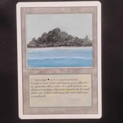 Magic: The Gathering Tropical Island Land Revised Edition Rare English - Image 1