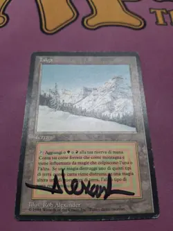 Taiga - Revised FBB - * ITALIAN * SIGNED [MP] - Image 1