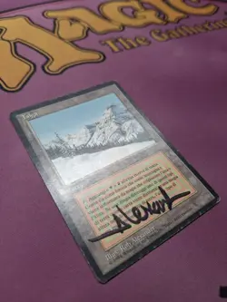 Taiga - Revised FBB - * ITALIAN * SIGNED [MP] - Image 4