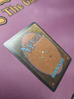 Taiga - Revised FBB - * ITALIAN * SIGNED [MP] - Image 5