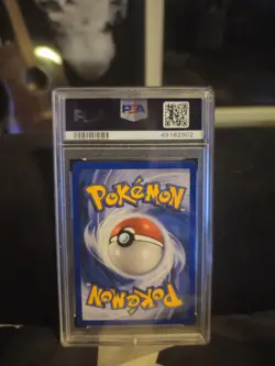 2004 Pokemon Tropical Wind World Championship Promo BlackStar 26 PSA 10 GEM - Image 2