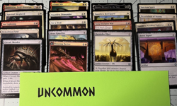 Player Built MTG Commander Deck -112 Cards-Rem Karolus, Stalwart -All Pictured - Image 4