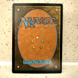 2025 MTG MARVEL'S SPIDER-MAN BORDERLESS PATH TO EXILE 0004 FOIL (RARE) - Image 2