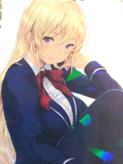 Beautiful Waifu Card - Nakiri Erina - Goddess Story Food Wars FOIL NS-11R-03 - Image 2